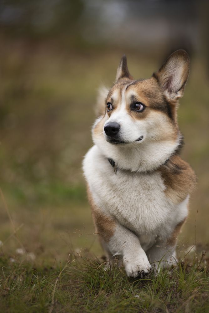 Photograph by Маргарита Богуславская