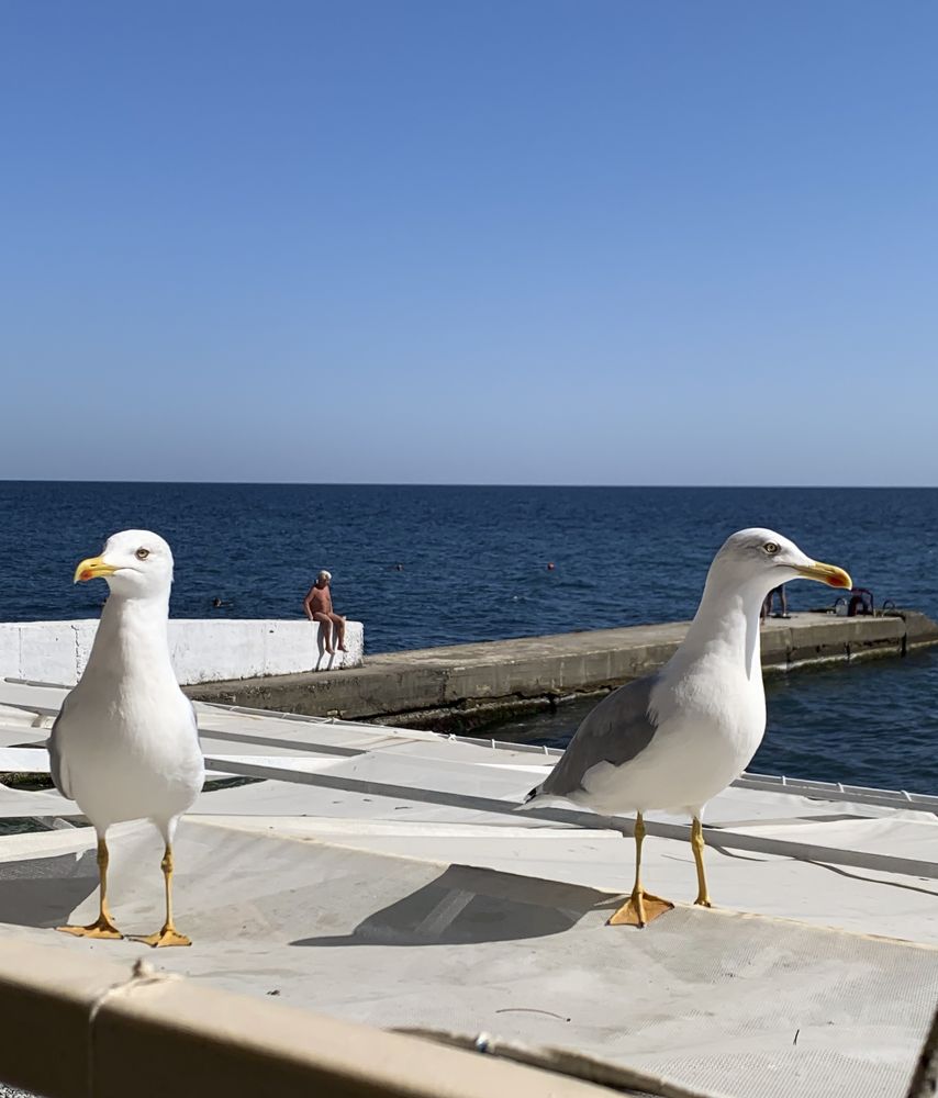 Photograph by Екатерина Меньшакова