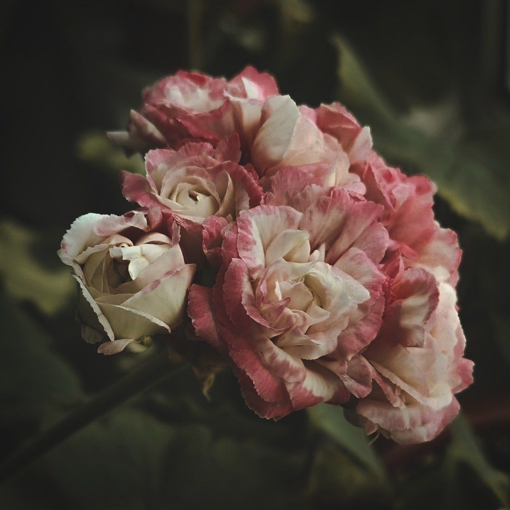 Photograph by Екатерина Воротникова