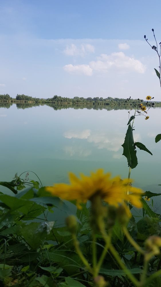 Photograph by Дарья Агапова