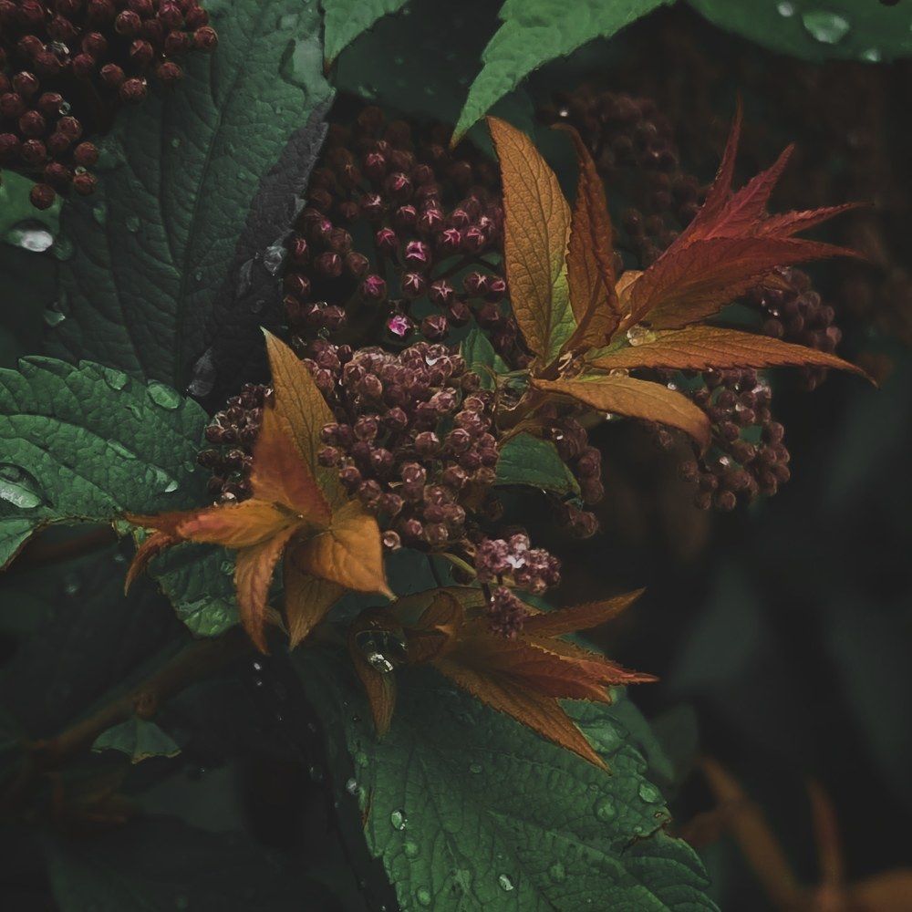 Photograph by Екатерина Воротникова