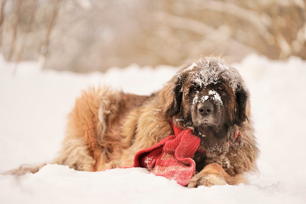 Photograph by Марина Аникина