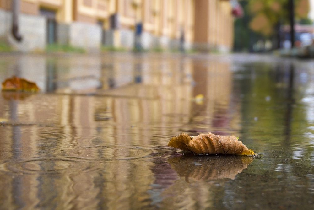 Photograph by Андрей Михайлин