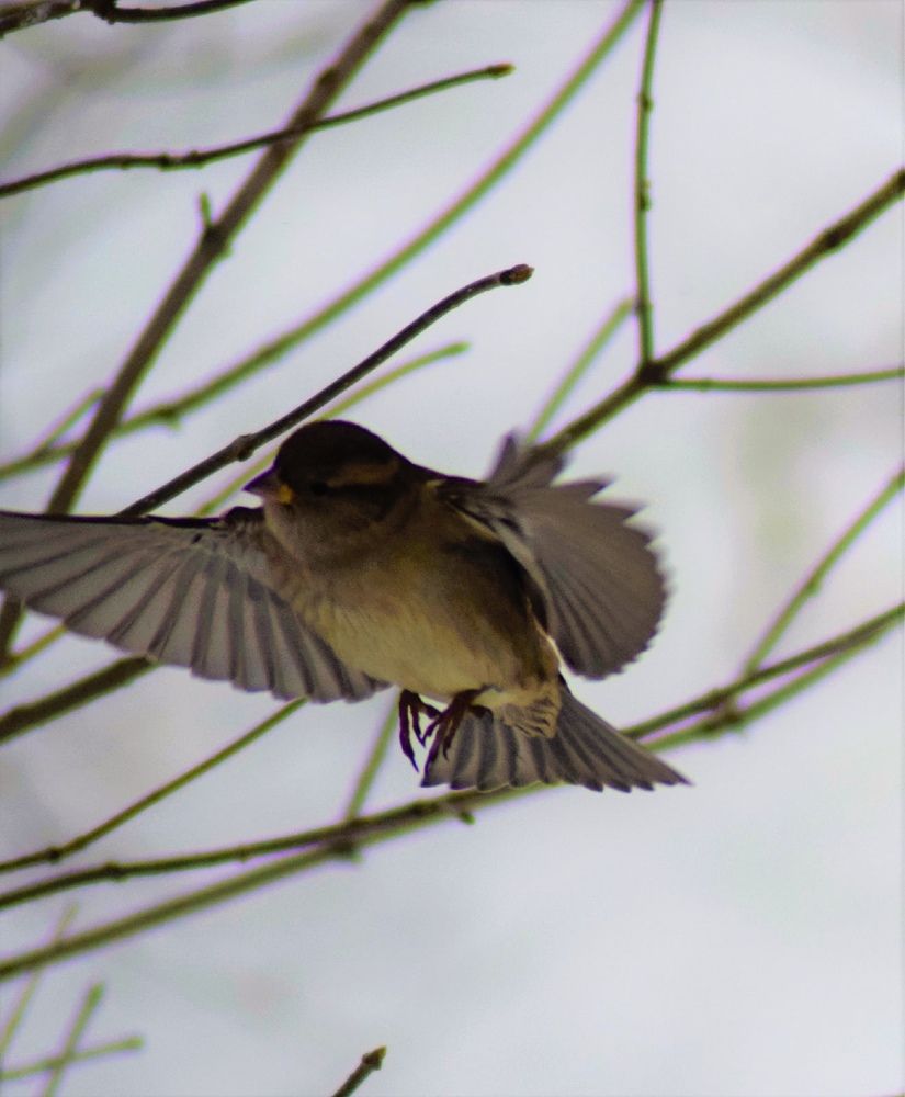 Фотография автора Алексей Усов