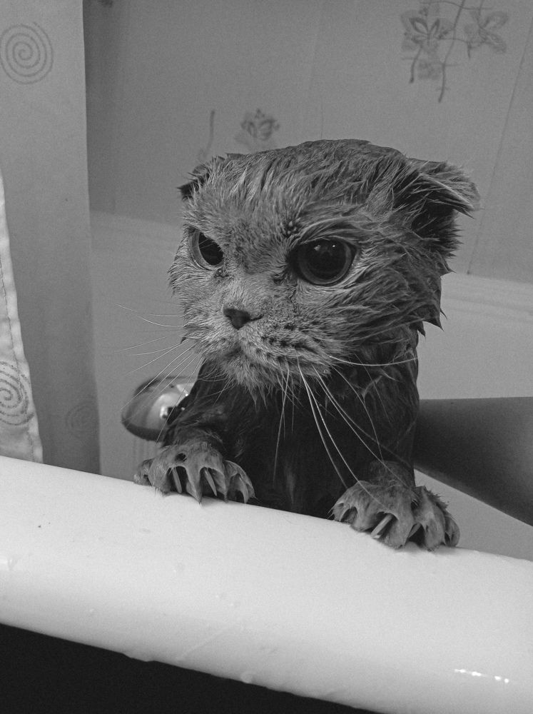 Photograph by Ксения Работкина