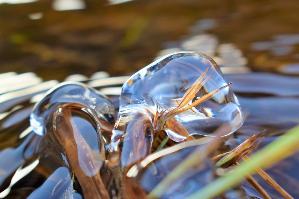 Фотография автора Алексей Усов