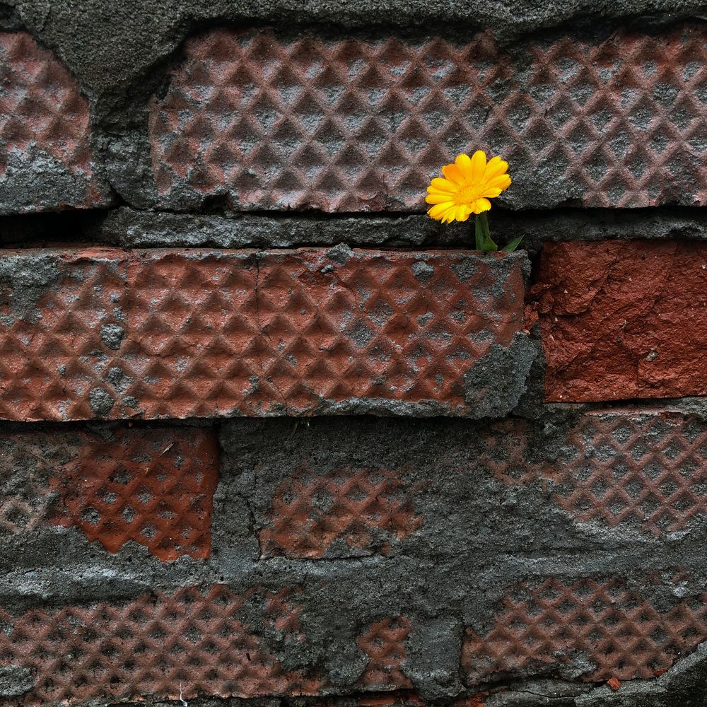 Photograph by Мария Королькова