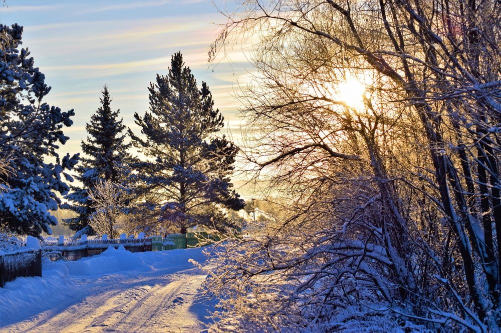 Фотография автора Алексей Усов