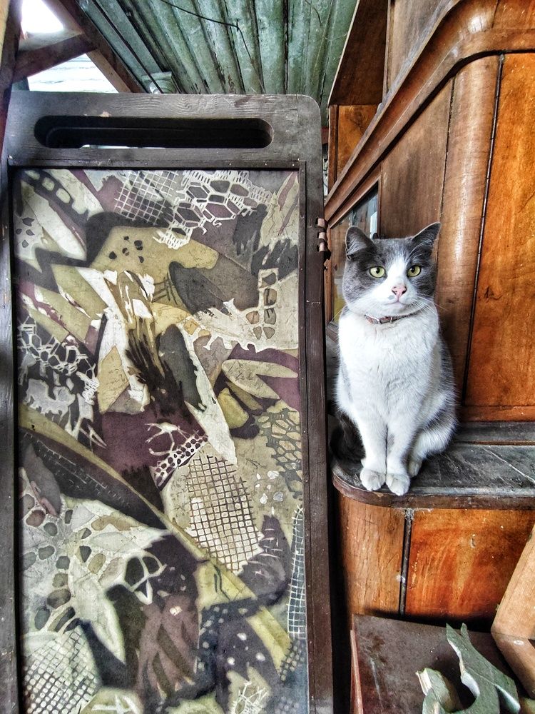 Фотография автора Taka2311