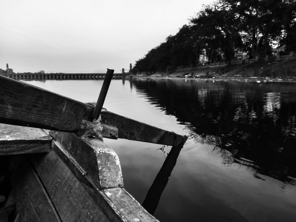 Фотография автора Adel elqamhawi Mohamed