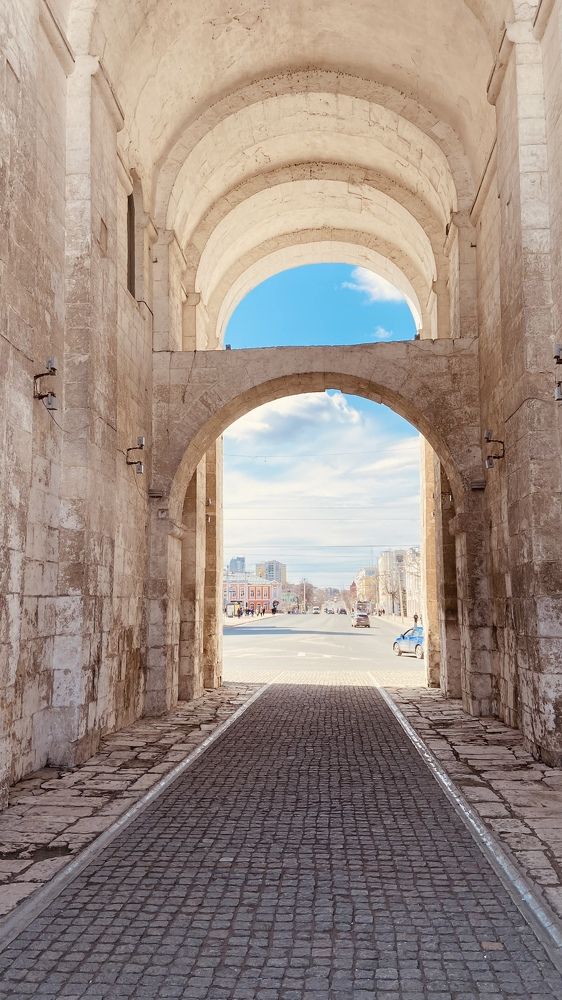 Фотография автора Елена Ельшина