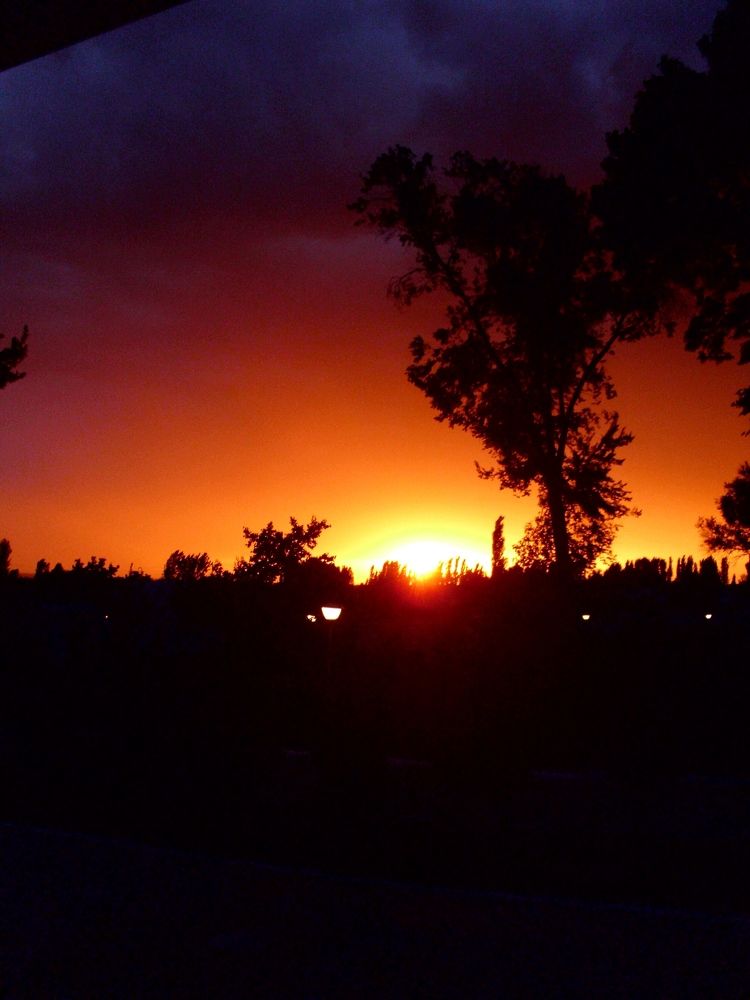 Photograph by Ахрор Холиков