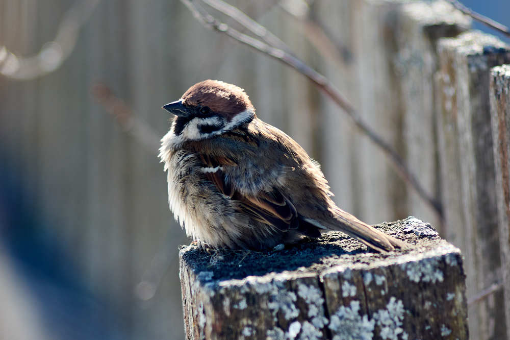 Photograph by Андрей Мольков