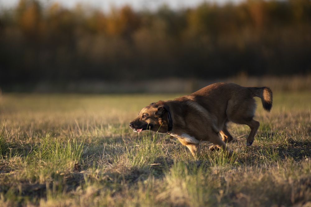 Photograph by Маргарита Богуславская