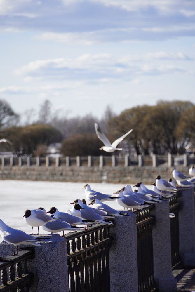 Photograph by Ольга Тимофеева