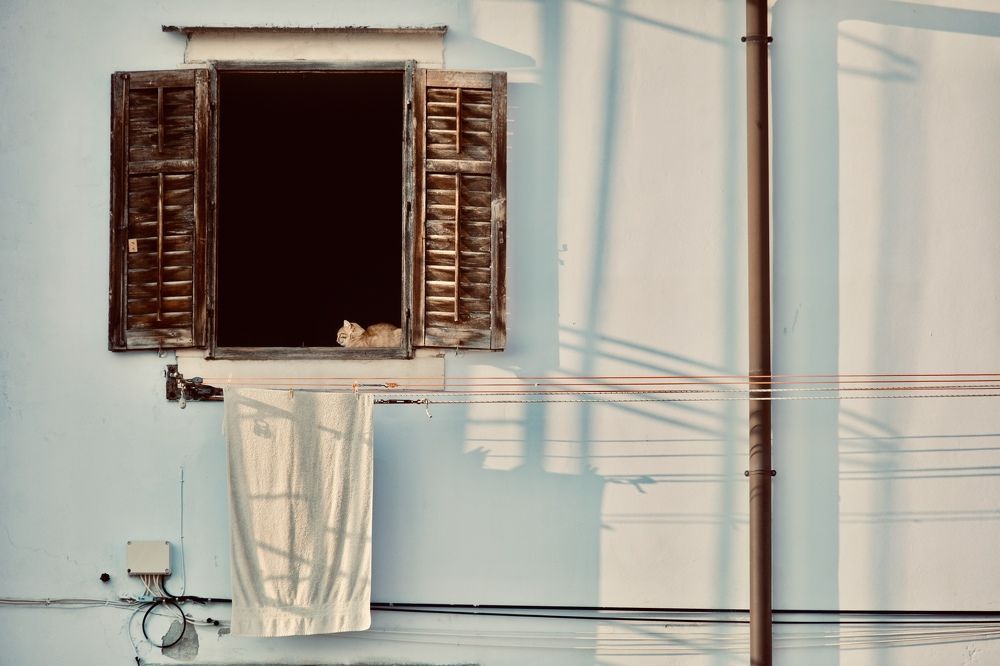 Photograph by Арина Бедрик