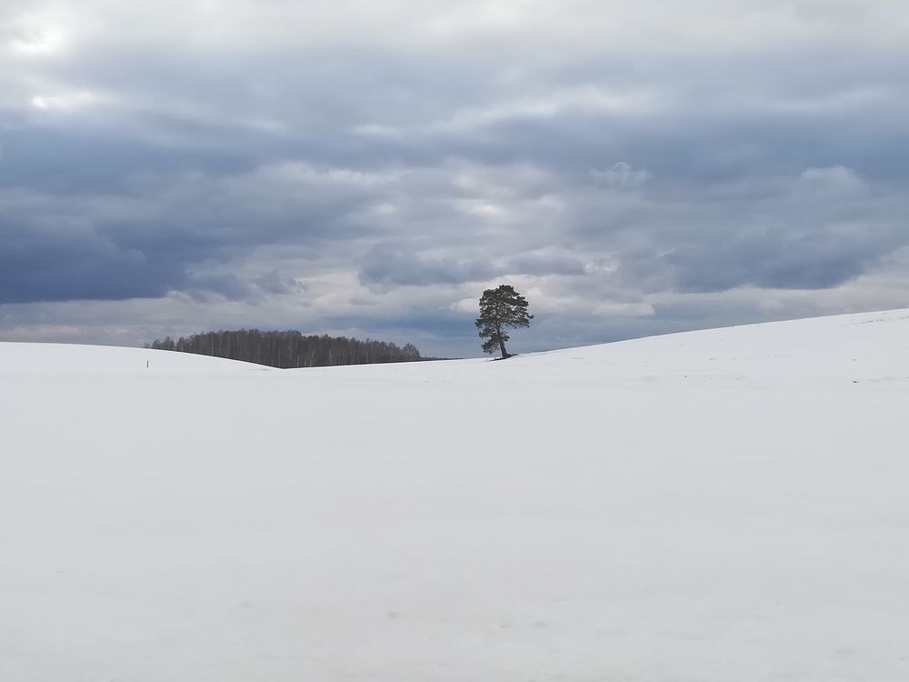 Photograph by Светлана Батурова