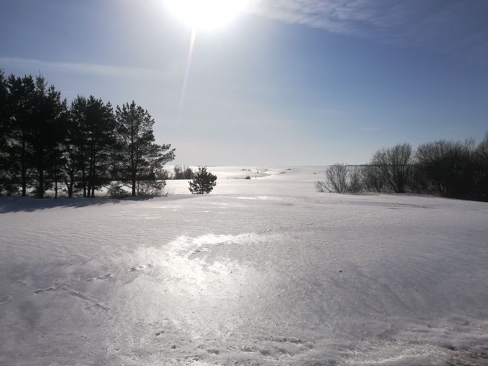 Photograph by Светлана Батурова