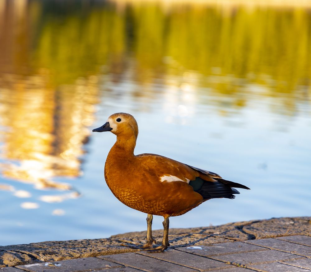 Photograph by Анастасия Малахова