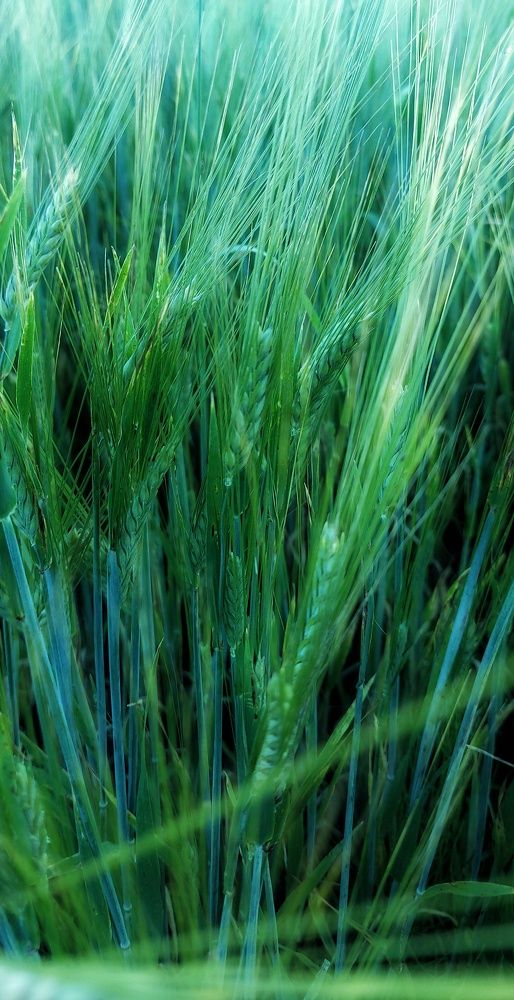 Photograph by Елена Сизых