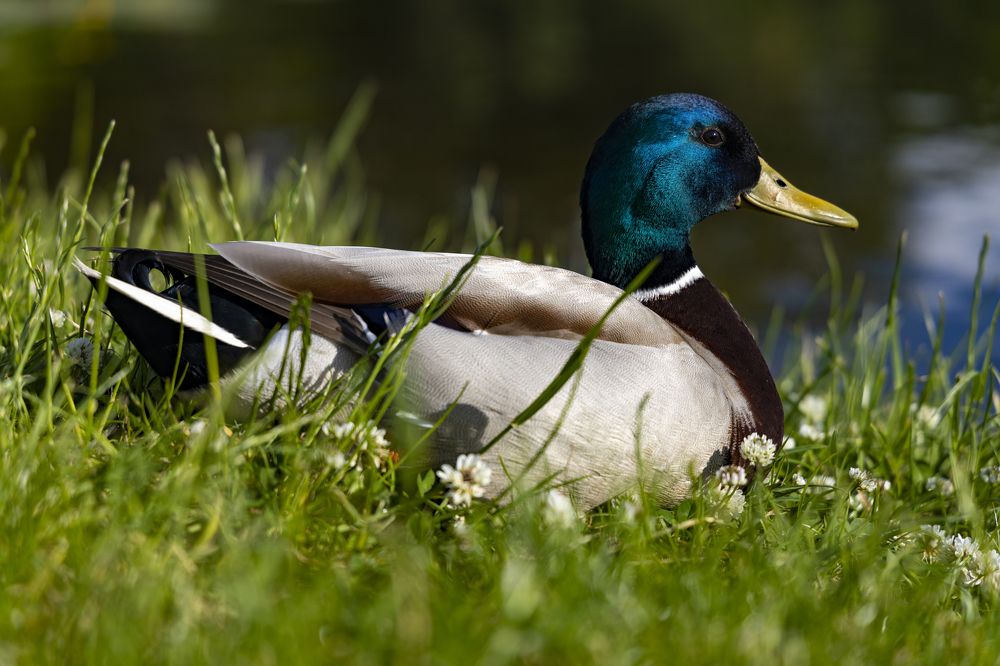 Photograph by Анастасия Малахова