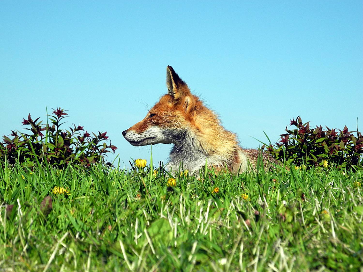 Photo #7504600