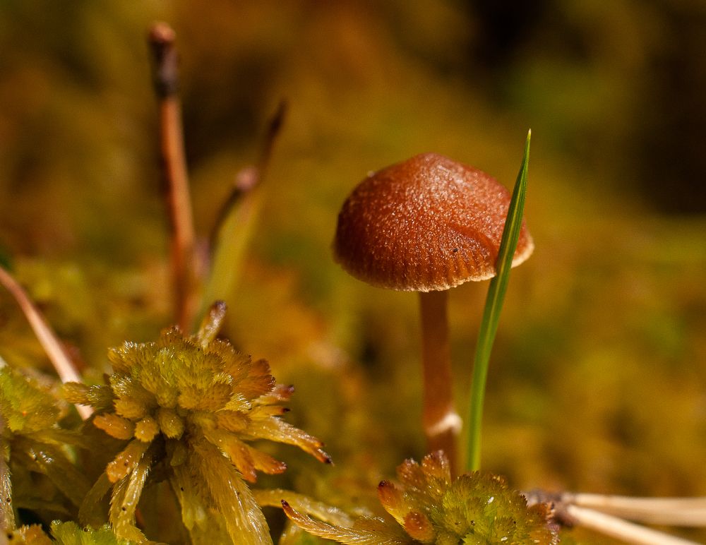 Photograph by Дарья Кончакова