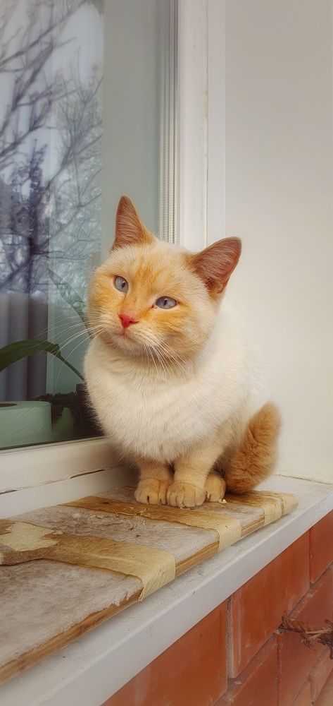 Photograph by Людмила Лукьяненко