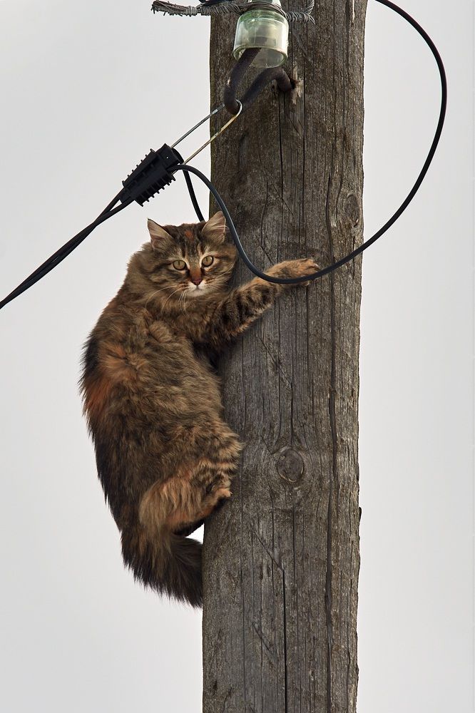 Photograph by Андрей Мольков