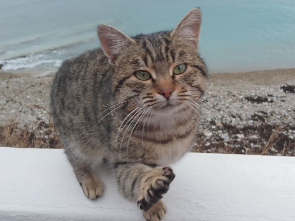 Photograph by Галина Сабитова