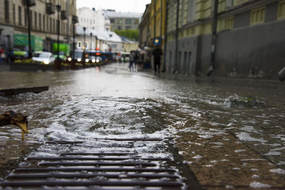 Photograph by Svetlana Khromova