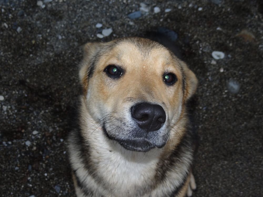 Photograph by Галина Сабитова