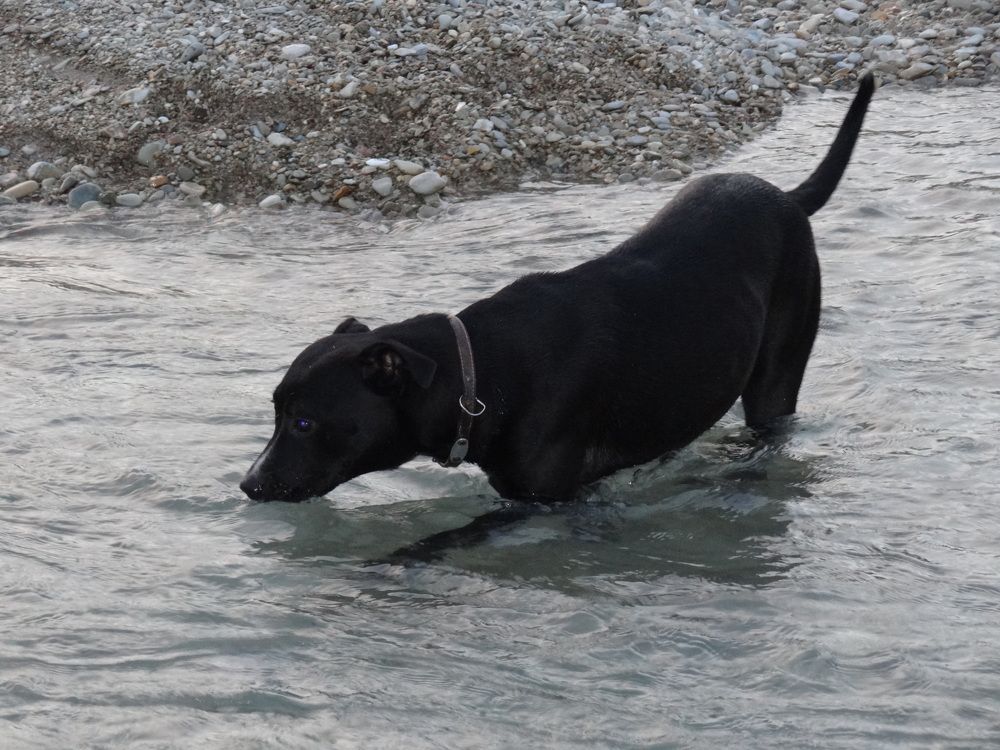 Photograph by Галина Сабитова