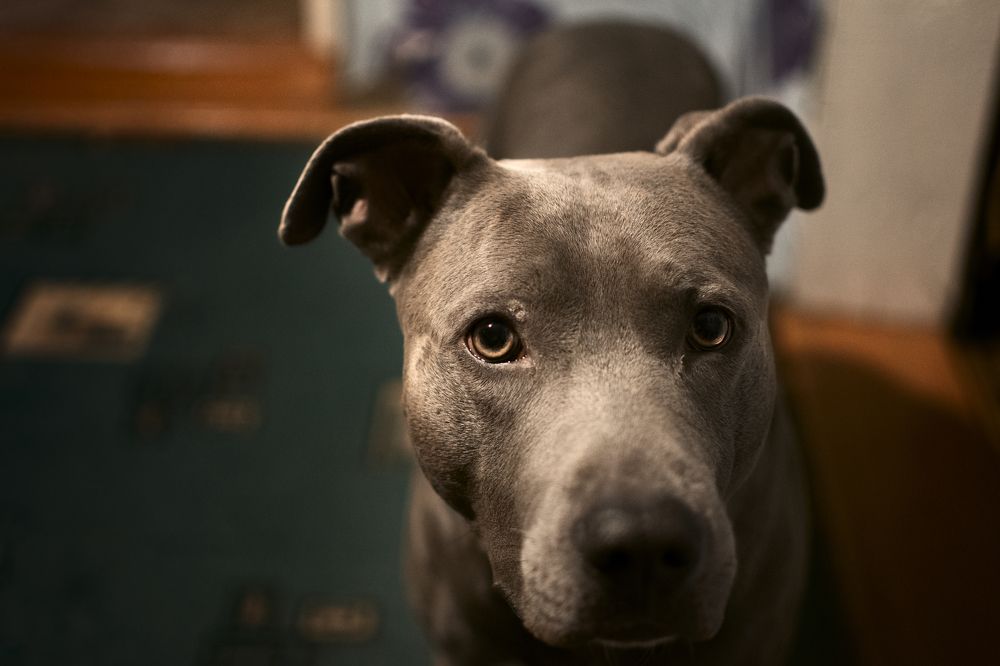 Photograph by Александр Белый