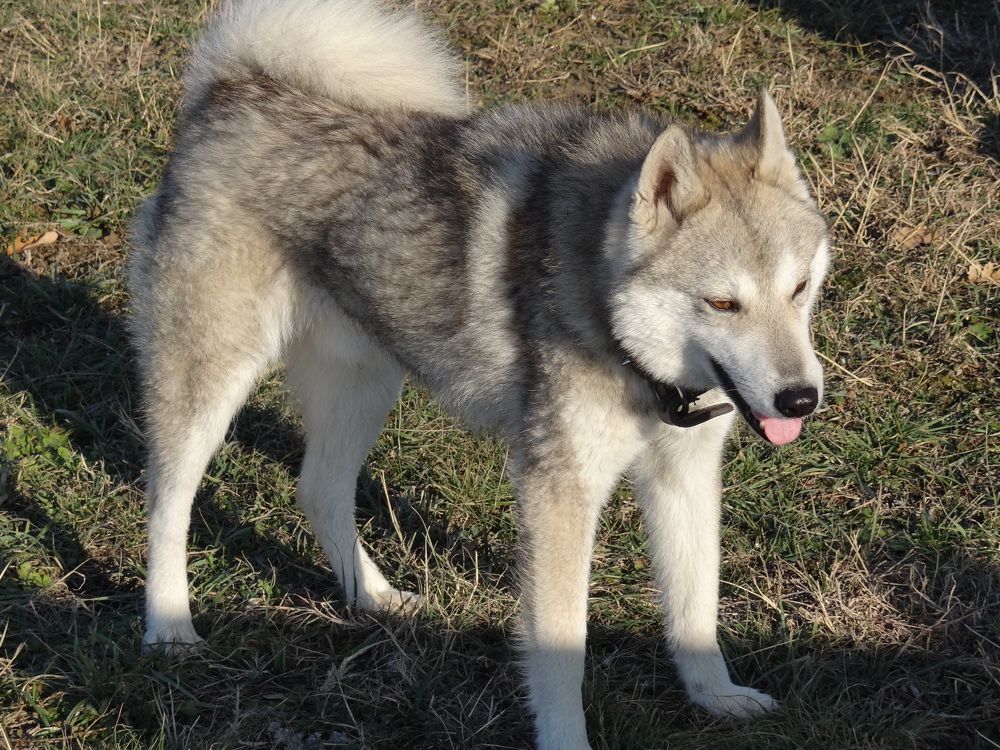 Photograph by Галина Сабитова