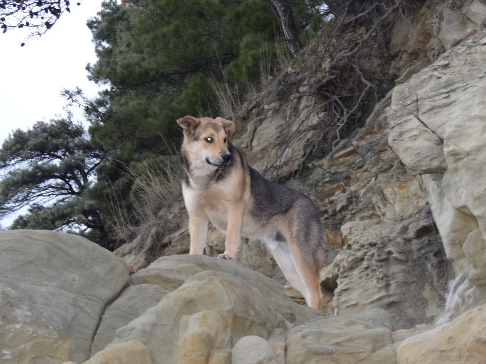 Photograph by Галина Сабитова