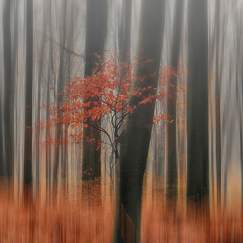 Photograph by Magdalena Kolenicova