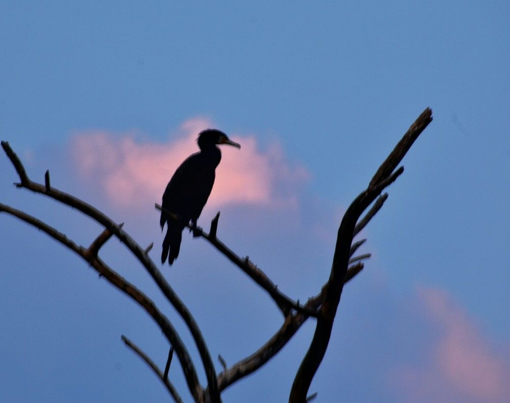 Photograph by ALI SAJID