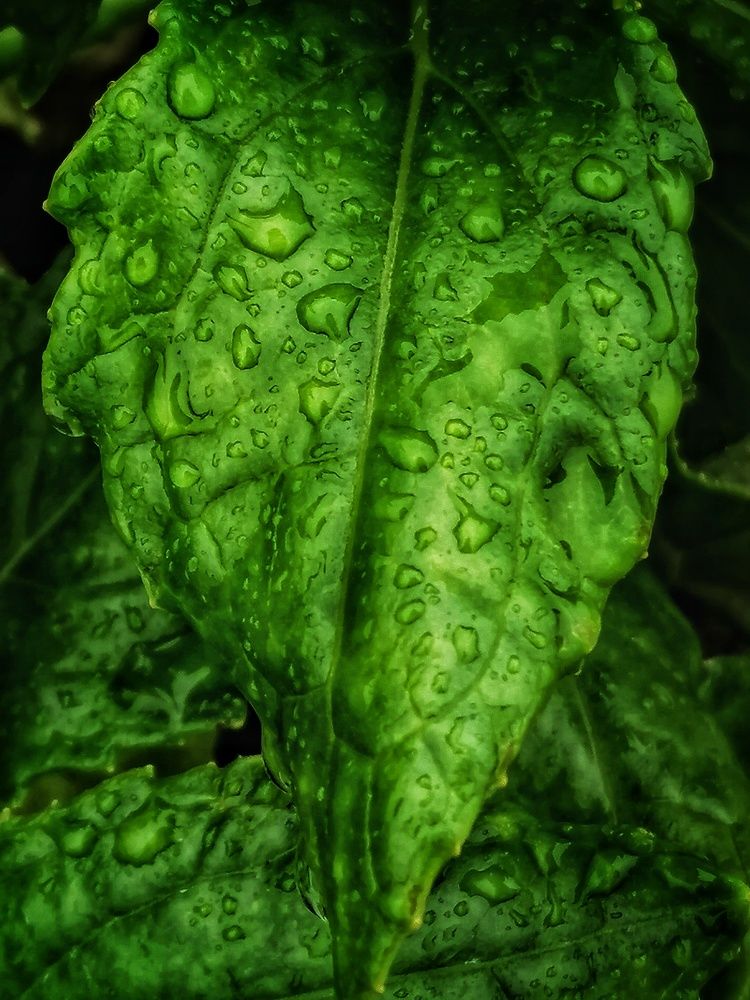 Photograph by Кира Милиневская