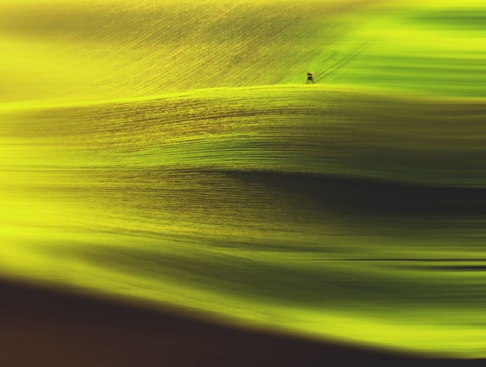 Photograph by Magdalena Kolenicova