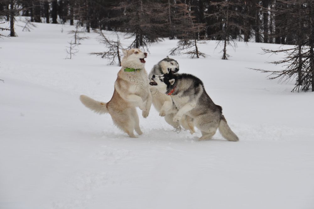 Photograph by Евгений Захаров