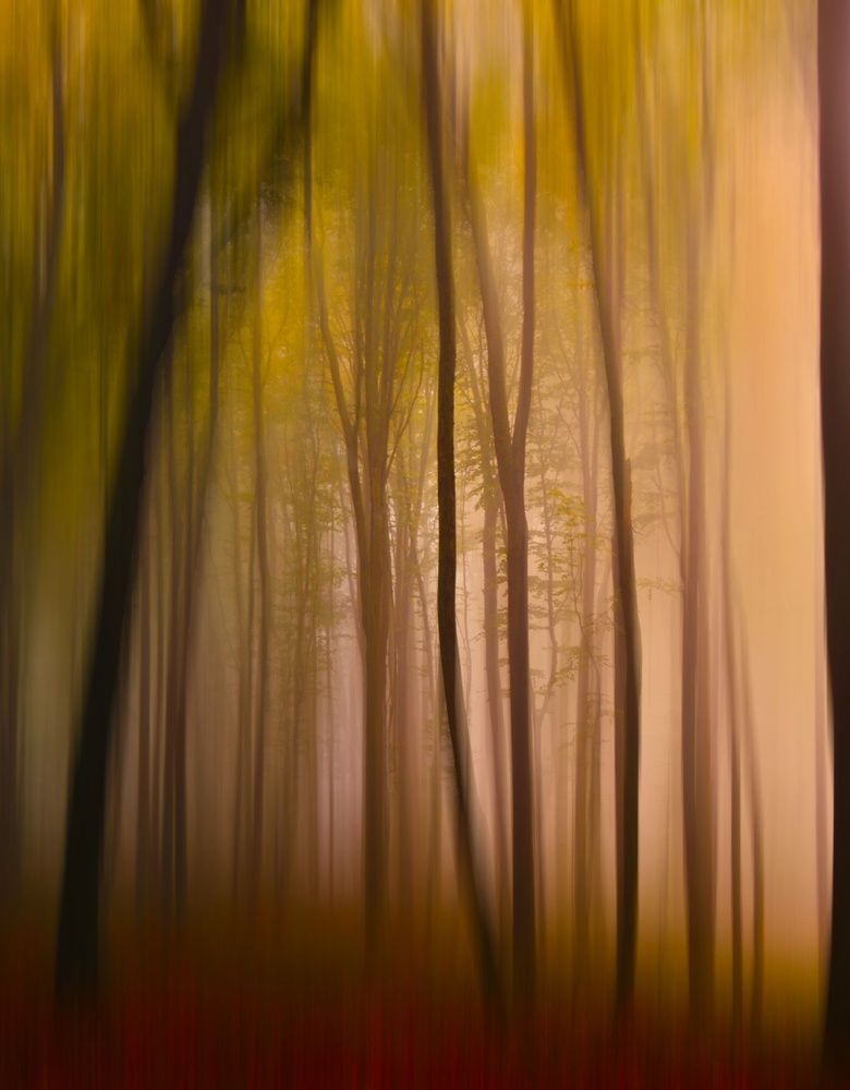 Photograph by Magdalena Kolenicova