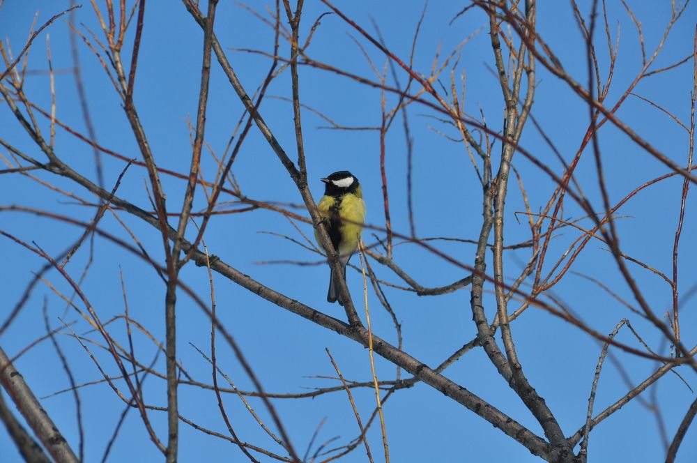 Photograph by Евгений Захаров