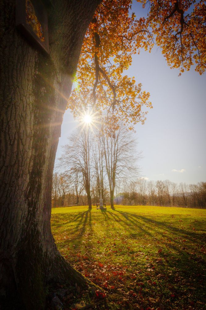 Buková hôrka východné Slovensko