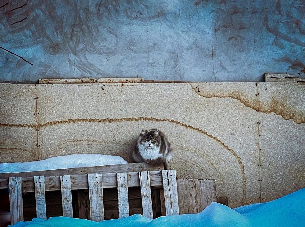 Photograph by Лада Сартакова