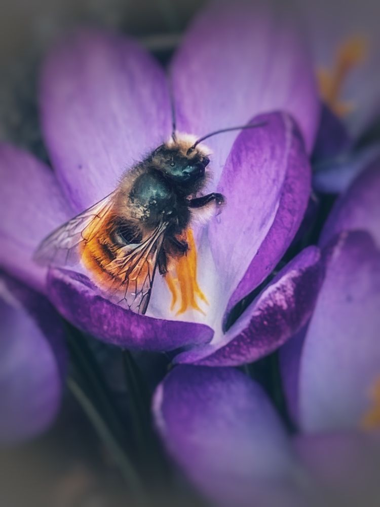 Photograph by Ольга Скиба