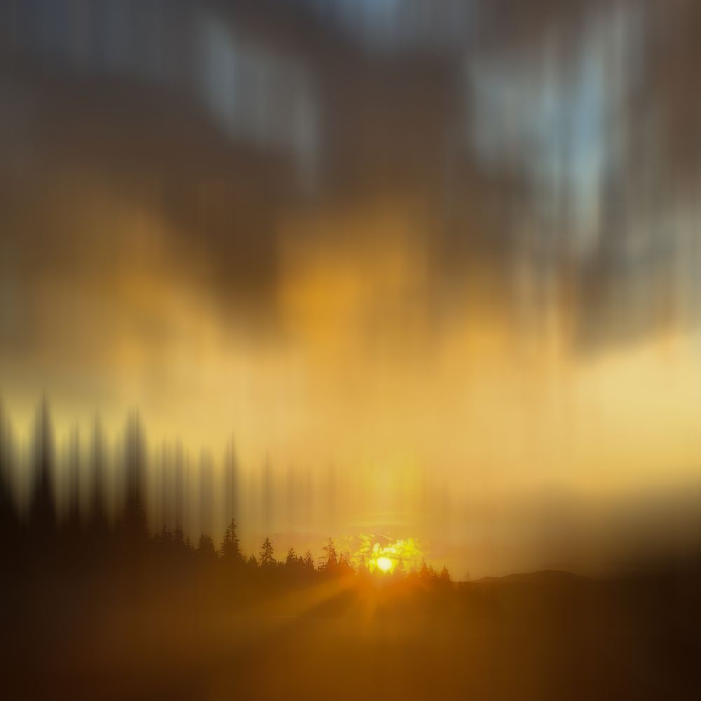 Photograph by Magdalena Kolenicova