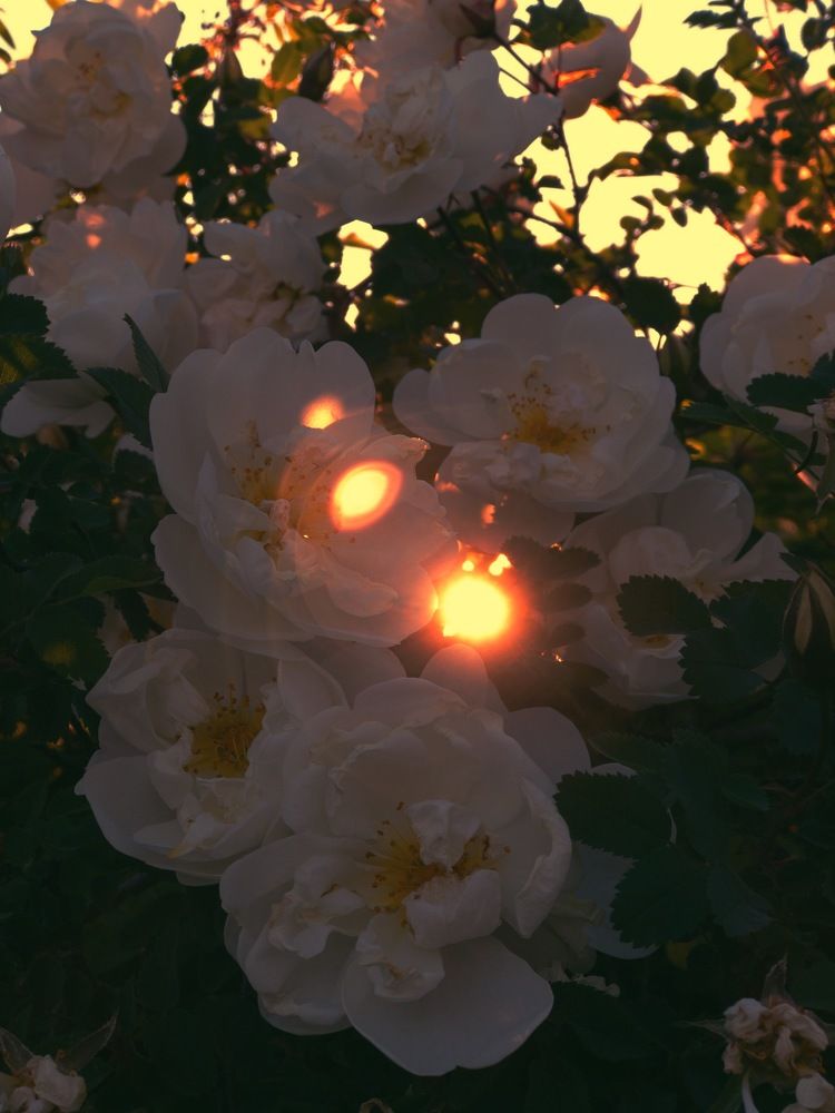 Photograph by Лада Сартакова