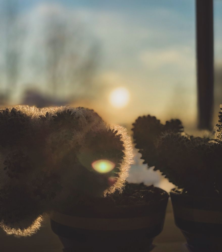 Photograph by Лада Сартакова