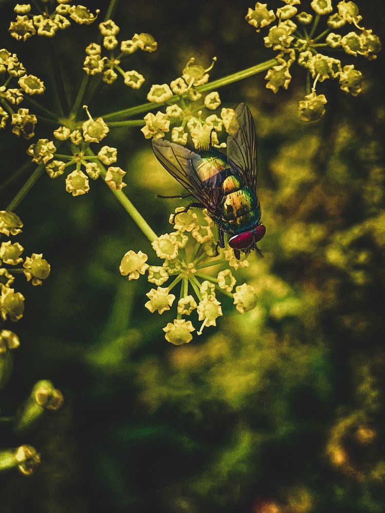 Photograph by Лада Сартакова